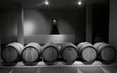 Wine Tasting da Valerio Cavallini